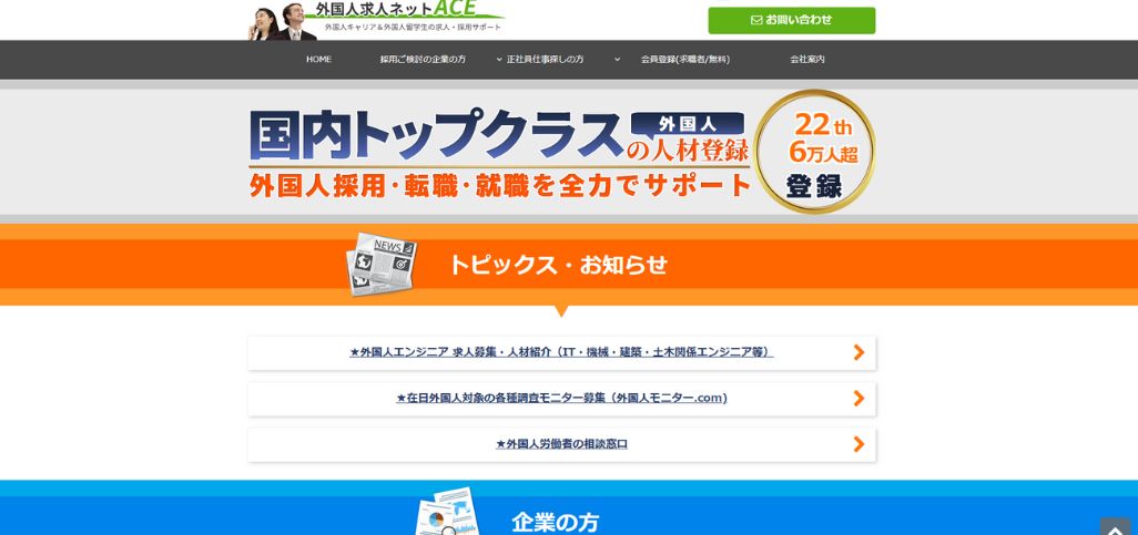 6. 外国人求人ネットACE