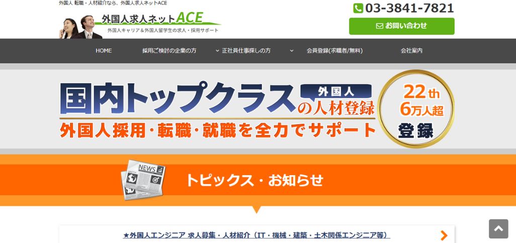 11. 外国人求人ネットACE