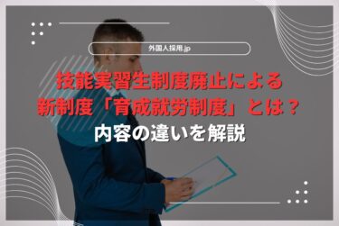 技能実習生制度廃止による新制度「育成就労制度」とは？内容の違いを解説