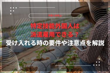 特定技能外国人は派遣雇用できる？受け入れる時の要件や注意点を解説