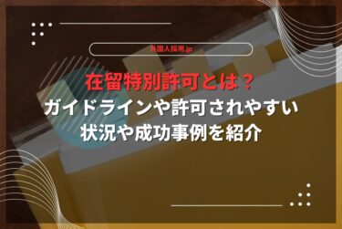 在留特別許可とは？ガイドラインや許可されやすい状況や成功事例を紹介